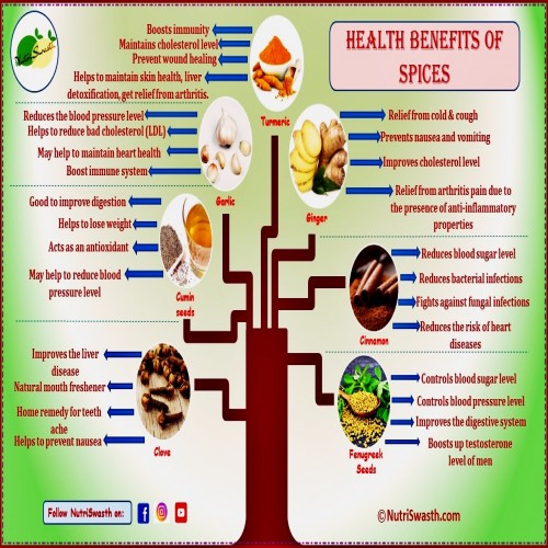 nutriswasht